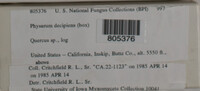 Image Associated With the Occurence